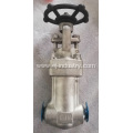 F321 Forged Gate Valve